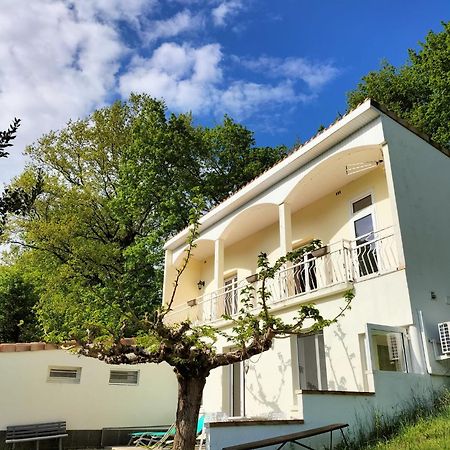 Gite O Fil Du Tarn Lescure-dʼAlbigeois Exterior foto