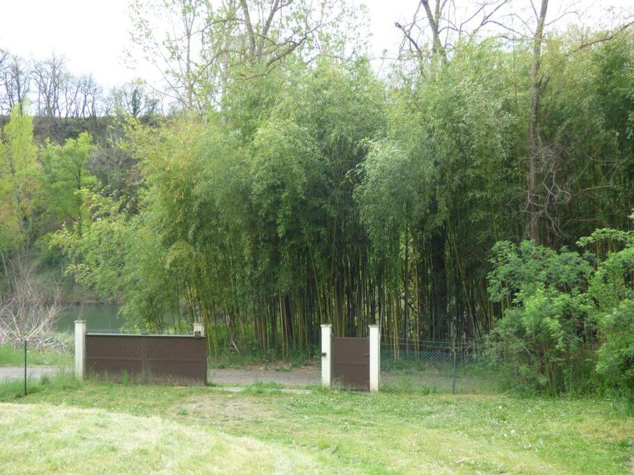 Gite O Fil Du Tarn Lescure-dʼAlbigeois Exterior foto
